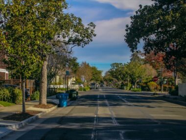 California’s concerning embrace of a new forest biomass industry